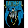 DC COMICS Boy's Batman Ready To Strike T-Shirt